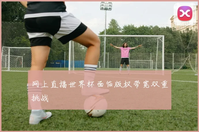 网上直播世界杯面临版权带宽双重挑战