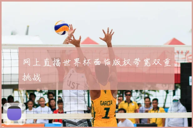 网上直播世界杯面临版权带宽双重挑战