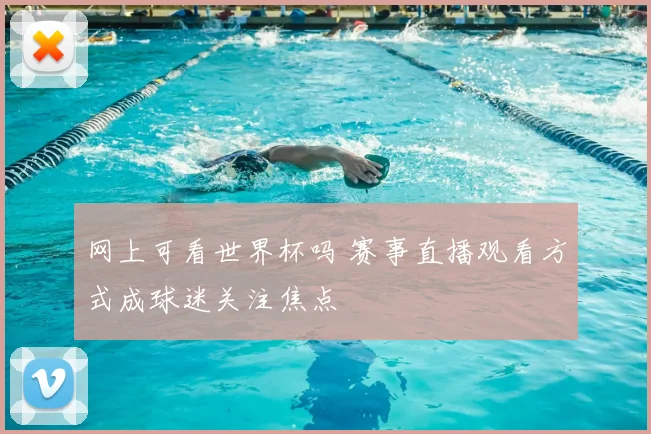 网上可看世界杯吗 赛事直播观看方式成球迷关注焦点